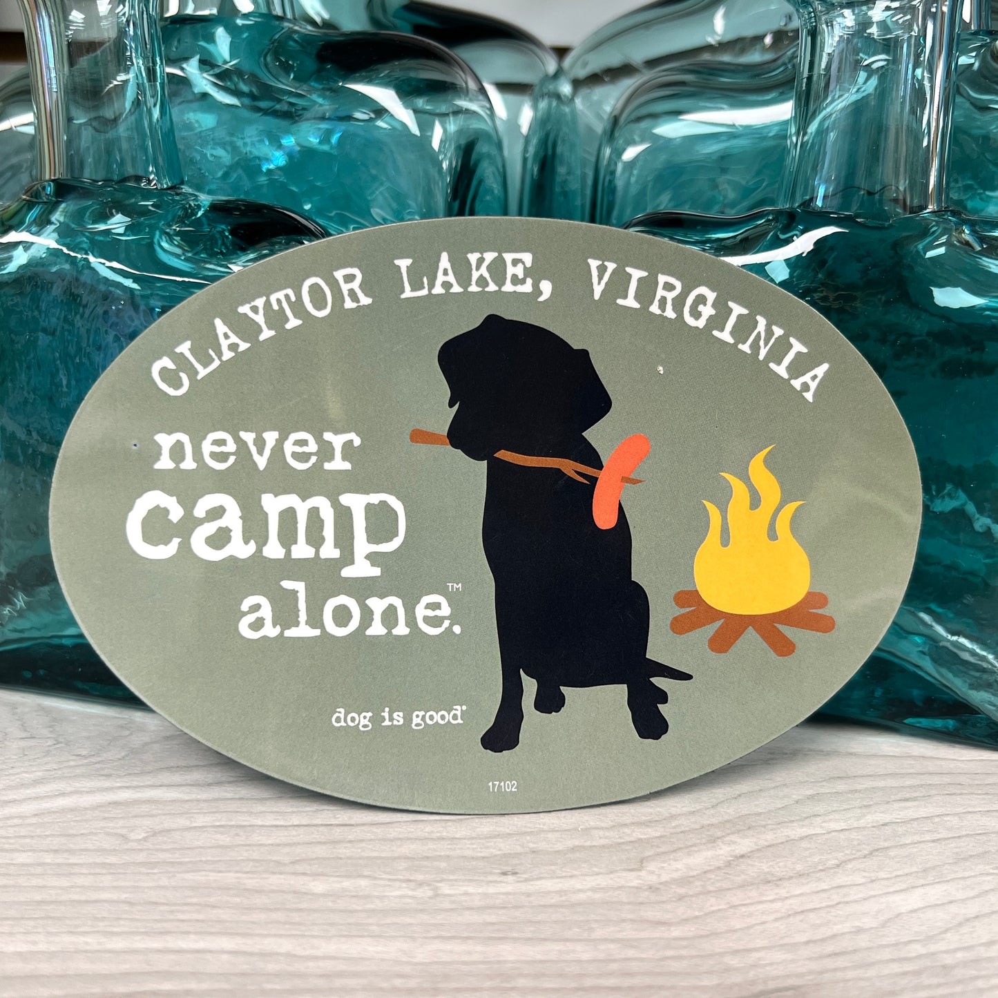 Claytor Lake Never Camp Alone Magnet